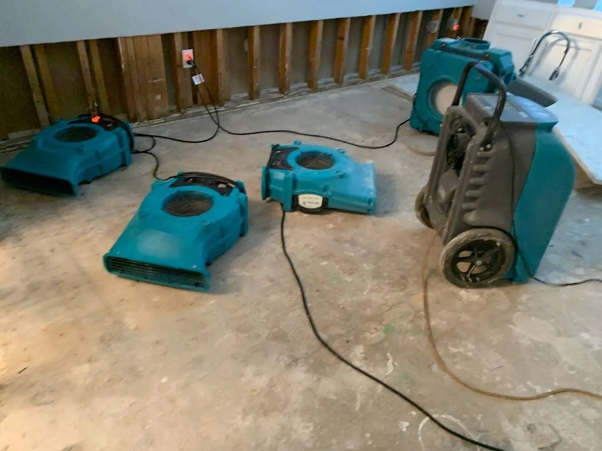 Basement Flood Cleanup in Gateway, AK